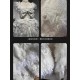 Mewroco Peacock Feather 2.0 JSK(Reservation/3 Colours/Full Payment Without Shipping)